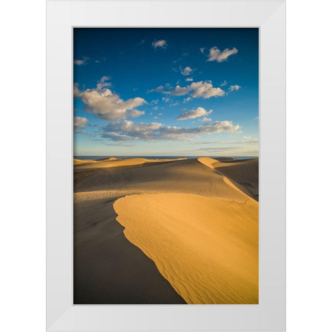 Spain-Canary Islands-Gran Canaria Island-Maspalomas-Maspalomas Dunes National Park White Modern Wood Framed Art Print by Bibikow, Walter
