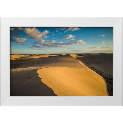 Spain-Canary Islands-Gran Canaria Island-Maspalomas-Maspalomas Dunes National Park White Modern Wood Framed Art Print by Bibikow, Walter