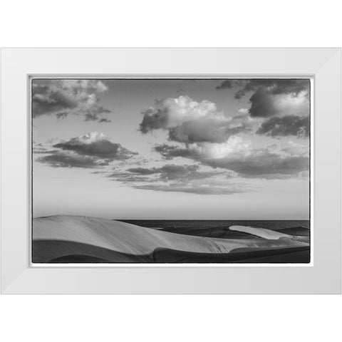 Spain-Canary Islands-Gran Canaria Island-Maspalomas-Maspalomas Dunes National Park White Modern Wood Framed Art Print by Bibikow, Walter