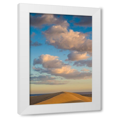 Spain-Canary Islands-Gran Canaria Island-Maspalomas-Maspalomas Dunes National Park White Modern Wood Framed Art Print by Bibikow, Walter