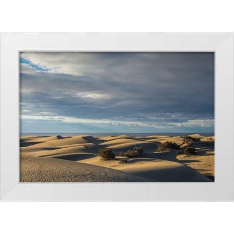 Spain-Canary Islands-Gran Canaria Island-Maspalomas-Maspalomas Dunes National Park White Modern Wood Framed Art Print by Bibikow, Walter