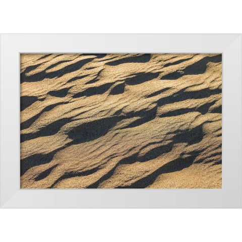 Spain-Canary Islands-Gran Canaria Island-Maspalomas-Maspalomas Dunes National Park White Modern Wood Framed Art Print by Bibikow, Walter