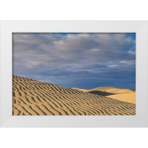 Spain-Canary Islands-Gran Canaria Island-Maspalomas-Maspalomas Dunes National Park White Modern Wood Framed Art Print by Bibikow, Walter
