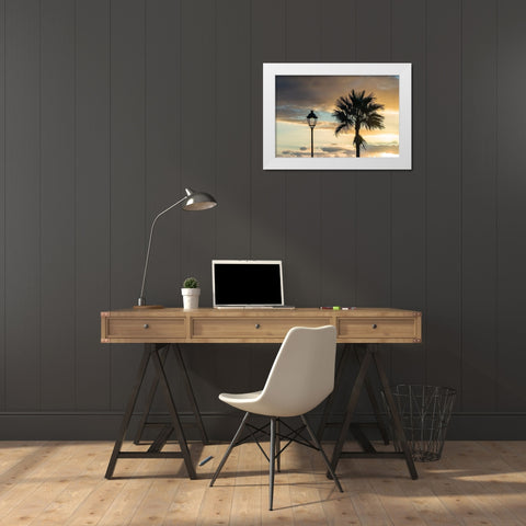 Canary Islands-Fuerteventura Island-Morro Jable-Playa del Matorral beach-palm tree White Modern Wood Framed Art Print by Bibikow, Walter