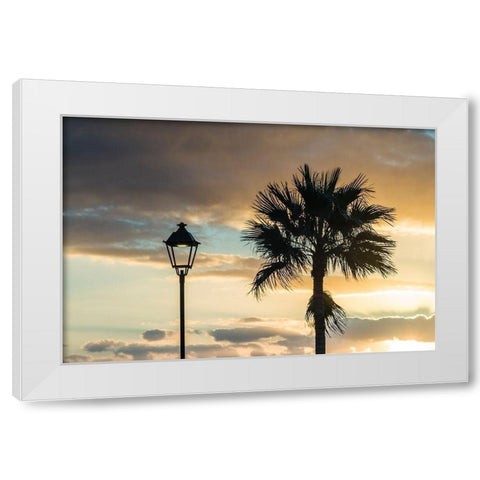 Canary Islands-Fuerteventura Island-Morro Jable-Playa del Matorral beach-palm tree White Modern Wood Framed Art Print by Bibikow, Walter
