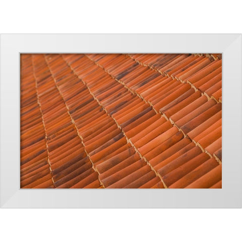 Canary Islands-Fuerteventura Island-La Oliva-Casa de los Coroneles-18th White Modern Wood Framed Art Print by Bibikow, Walter