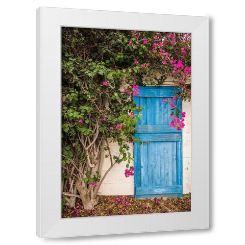 Canary Islands-Fuerteventura Island-La Oliva-blue door of garden shed White Modern Wood Framed Art Print by Bibikow, Walter