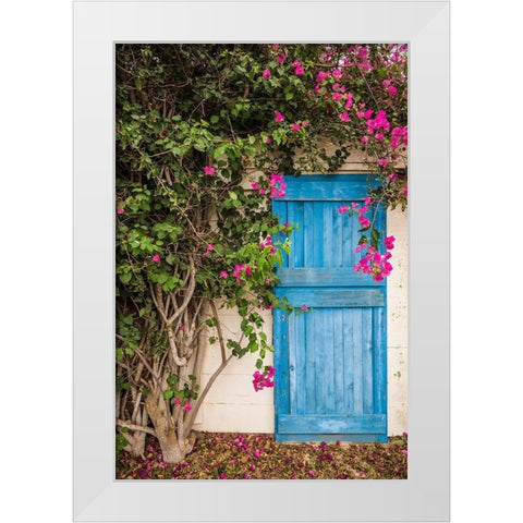 Canary Islands-Fuerteventura Island-La Oliva-blue door of garden shed White Modern Wood Framed Art Print by Bibikow, Walter