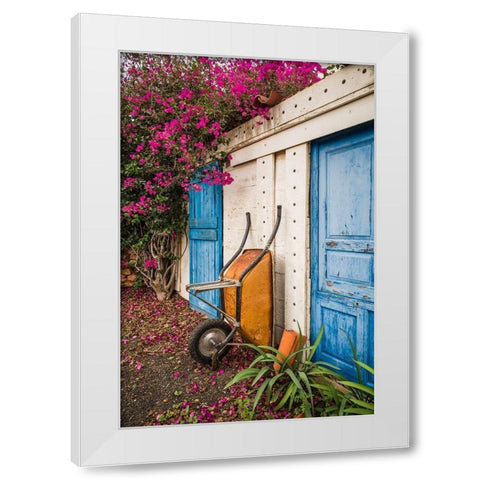 Canary Islands-Fuerteventura Island-La Oliva-blue door of garden shed White Modern Wood Framed Art Print by Bibikow, Walter