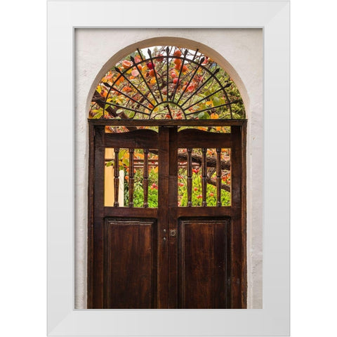 Canary Islands-La Palma Island-Santa Cruz de la Palma-persimmon fruit garden White Modern Wood Framed Art Print by Bibikow, Walter
