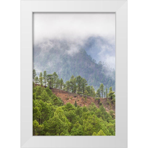 Canary Islands- White Modern Wood Framed Art Print by Bibikow, Walter