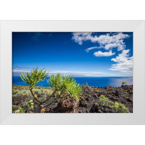 Canary Islands-La Palma Island-Fuencaliente de la Palma-Punta de Fuencaliente-volcanic landscape White Modern Wood Framed Art Print by Bibikow, Walter