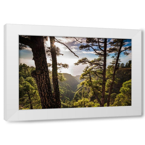 Canary Islands-La Palma Island-Mirador de Garome-elevated coastal view White Modern Wood Framed Art Print by Bibikow, Walter