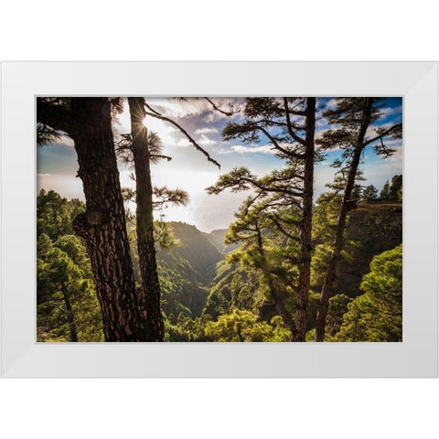 Canary Islands-La Palma Island-Mirador de Garome-elevated coastal view White Modern Wood Framed Art Print by Bibikow, Walter