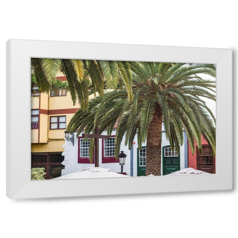 Canary Islands-La Palma Island-Santa Cruz de la Palma-palm tree White Modern Wood Framed Art Print by Bibikow, Walter