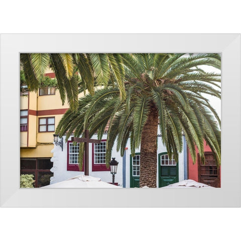 Canary Islands-La Palma Island-Santa Cruz de la Palma-palm tree White Modern Wood Framed Art Print by Bibikow, Walter
