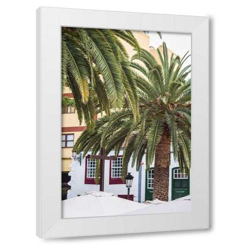 Canary Islands-La Palma Island-Santa Cruz de la Palma-palm tree White Modern Wood Framed Art Print by Bibikow, Walter