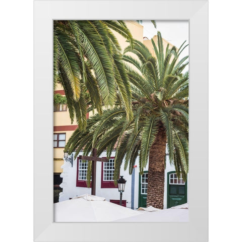 Canary Islands-La Palma Island-Santa Cruz de la Palma-palm tree White Modern Wood Framed Art Print by Bibikow, Walter