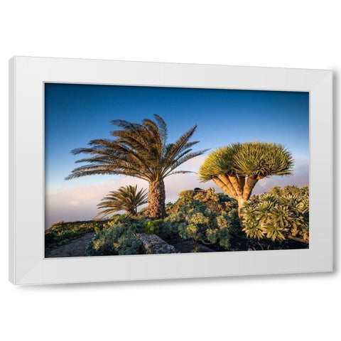 Canary Islands-El Hierro Island-Guarazoca-Mirador de la Pena White Modern Wood Framed Art Print by Bibikow, Walter