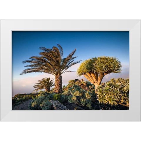 Canary Islands-El Hierro Island-Guarazoca-Mirador de la Pena White Modern Wood Framed Art Print by Bibikow, Walter