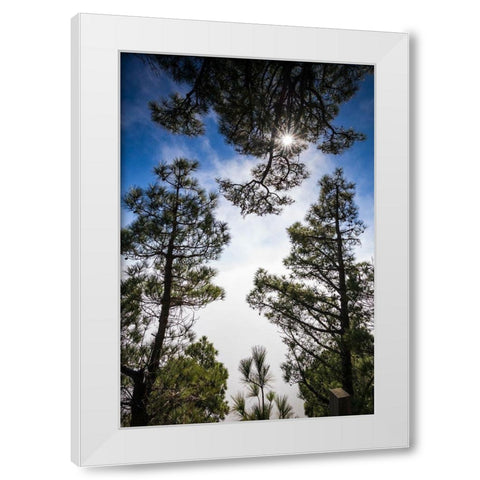 Canary Islands-El Hierro Island-Mirador de las Playas-elevated view of the east coast with fog White Modern Wood Framed Art Print by Bibikow, Walter