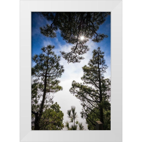 Canary Islands-El Hierro Island-Mirador de las Playas-elevated view of the east coast with fog White Modern Wood Framed Art Print by Bibikow, Walter