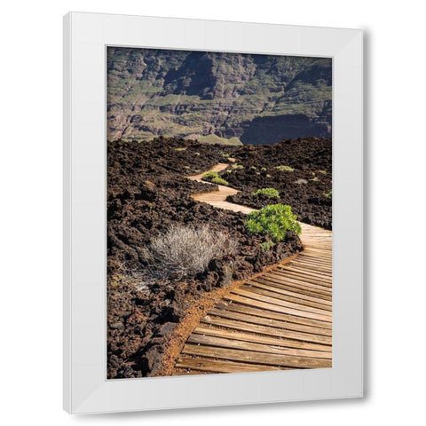 Canary Islands-El Hierro Island-Las Puntas-La Maceta-coastal walkway White Modern Wood Framed Art Print by Bibikow, Walter