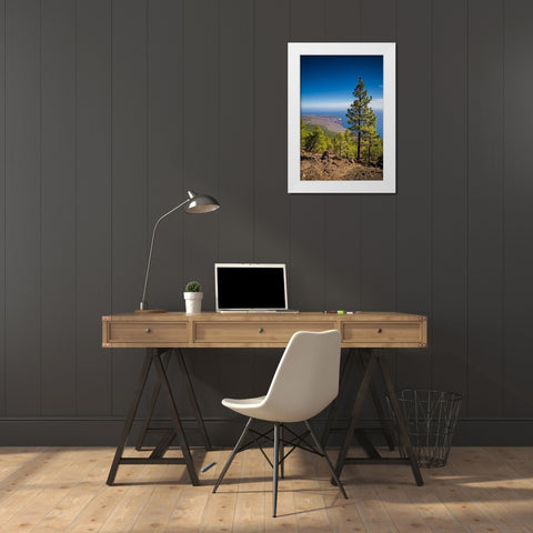 Canary Islands-El Hierro Island-Malpaso Mountain-elevation 1503 meters White Modern Wood Framed Art Print by Bibikow, Walter