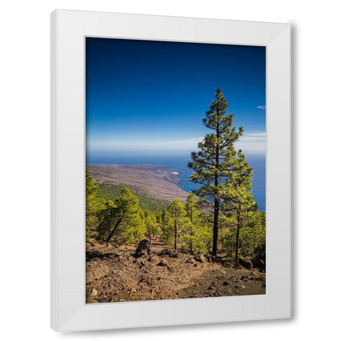 Canary Islands-El Hierro Island-Malpaso Mountain-elevation 1503 meters White Modern Wood Framed Art Print by Bibikow, Walter