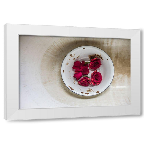 Canary Islands-Tenerife Island-La Orotava-roses in antique dish White Modern Wood Framed Art Print by Bibikow, Walter