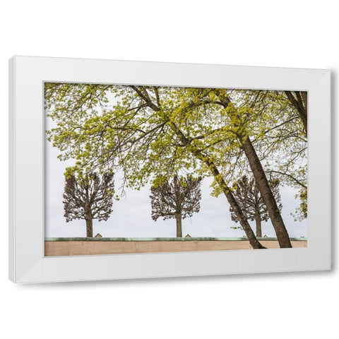 Sweden-Stockholm-trees-early spring White Modern Wood Framed Art Print by Bibikow, Walter