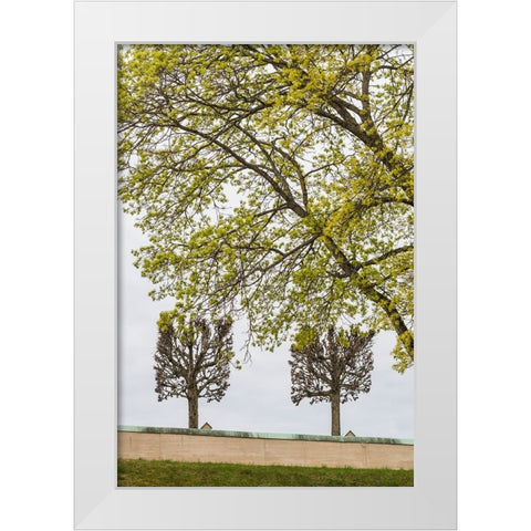 Sweden-Stockholm-trees-early spring White Modern Wood Framed Art Print by Bibikow, Walter