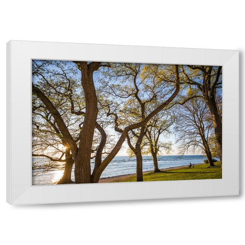 Sweden-Gotland Island-Visby-Strandpromenaden-coastal walkway-sunset White Modern Wood Framed Art Print by Bibikow, Walter