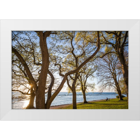 Sweden-Gotland Island-Visby-Strandpromenaden-coastal walkway-sunset White Modern Wood Framed Art Print by Bibikow, Walter