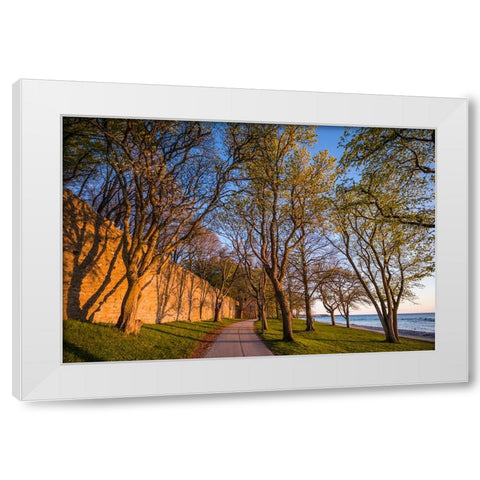 Sweden-Gotland Island-Visby-12th century city wall-most complete medieval city wall in Europe-sunse White Modern Wood Framed Art Print by Bibikow, Walter