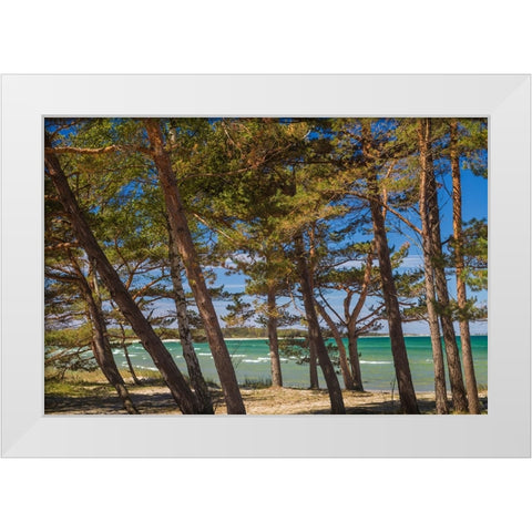 Sweden-Faro Island-Fifang-view of Ajkesvik Bay White Modern Wood Framed Art Print by Bibikow, Walter