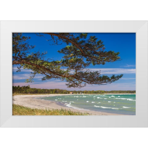 Sweden-Faro Island-Fifang-view of Ajkesvik Bay White Modern Wood Framed Art Print by Bibikow, Walter