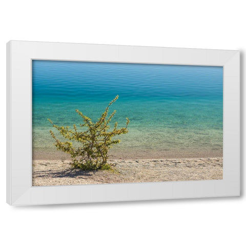 Sweden-Gotland Island-Labro-Bla Lagunen-Blue Lagoon-natural swimming area in former chalk quarry wi White Modern Wood Framed Art Print by Bibikow, Walter