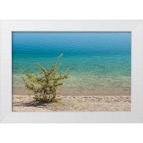 Sweden-Gotland Island-Labro-Bla Lagunen-Blue Lagoon-natural swimming area in former chalk quarry wi White Modern Wood Framed Art Print by Bibikow, Walter