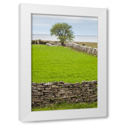 Sweden-Gotland Island-Sundre-stone wall-southern Gotland White Modern Wood Framed Art Print by Bibikow, Walter