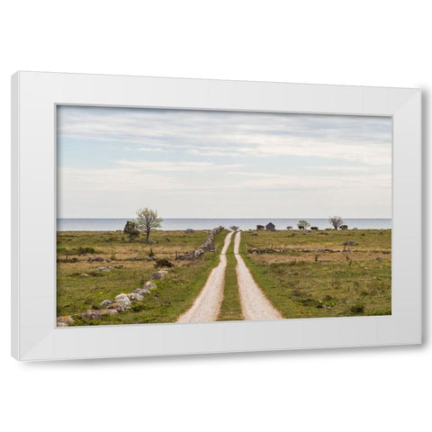Sweden-Gotland Island-Sundre-country road-southern Gotland White Modern Wood Framed Art Print by Bibikow, Walter