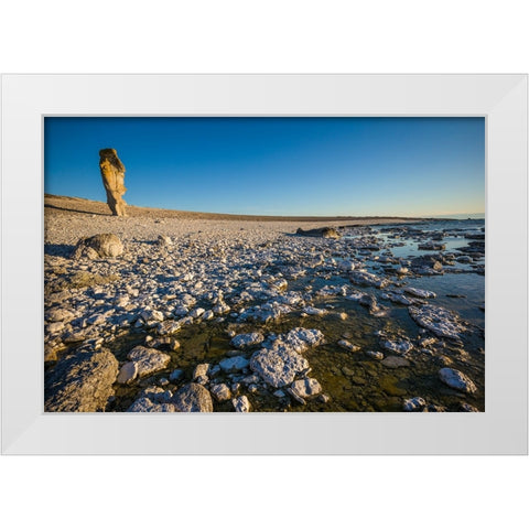 Sweden-Faro Island-Langhammars Area-Langhammar coastal limestone rauk rock-sunset White Modern Wood Framed Art Print by Bibikow, Walter