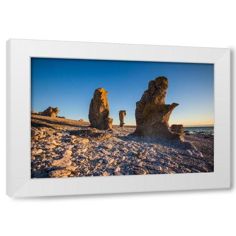 Sweden-Faro Island-Langhammars Area-Langhammar coastal limestone rauk rock-sunset White Modern Wood Framed Art Print by Bibikow, Walter