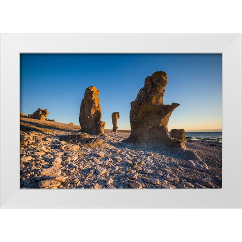 Sweden-Faro Island-Langhammars Area-Langhammar coastal limestone rauk rock-sunset White Modern Wood Framed Art Print by Bibikow, Walter