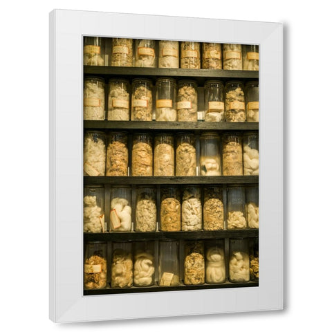 Sweden-Norrkoping-former mill town-cotton samples White Modern Wood Framed Art Print by Bibikow, Walter