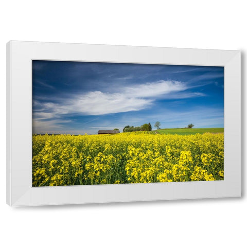 Sweden-Bergs Slussar-springtime landscape White Modern Wood Framed Art Print by Bibikow, Walter