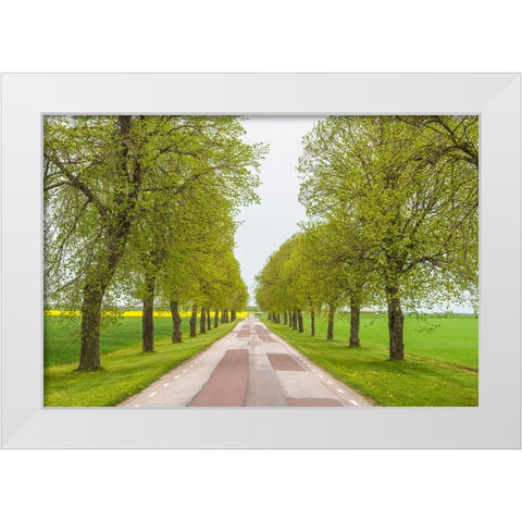 Sweden-Lake Vattern Area-country road-springtime White Modern Wood Framed Art Print by Bibikow, Walter