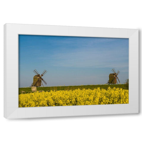 Sweden-Oland Island-Lerkaka-antique wooden windmills White Modern Wood Framed Art Print by Bibikow, Walter