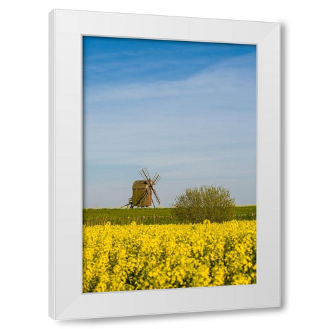 Sweden-Oland Island-Lerkaka-antique wooden windmills White Modern Wood Framed Art Print by Bibikow, Walter