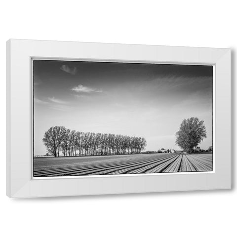 Southern Sweden-Kaseberga-plowed field-springtime White Modern Wood Framed Art Print by Bibikow, Walter